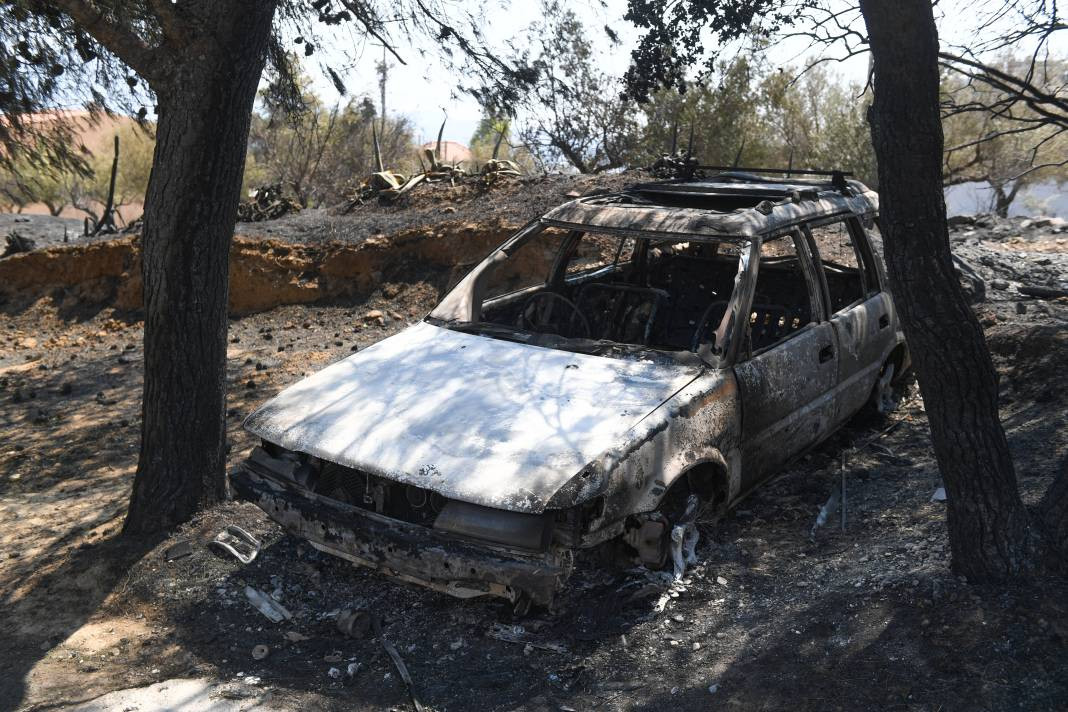 Meriç Bölgesi'nde yanan ormanlık alanda ceset bulundu - Resim: 11